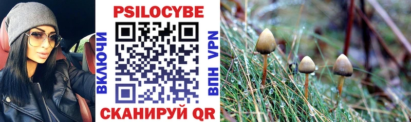 Псилоцибиновые грибы Magic Shrooms  сколько стоит  Арамиль 